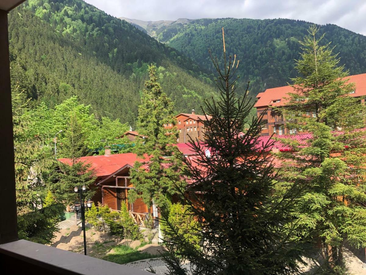 Centro Park Hotel Uzungöl Εξωτερικό φωτογραφία